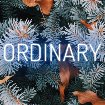 Advent Day 20 – Ordinary