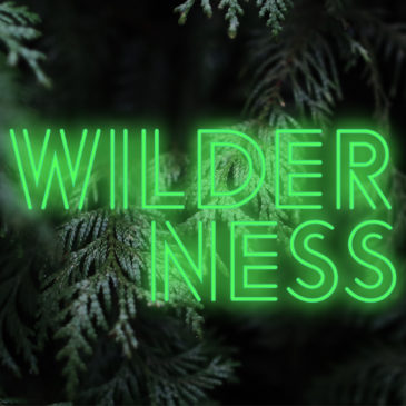 Advent Day 2 – Wilderness