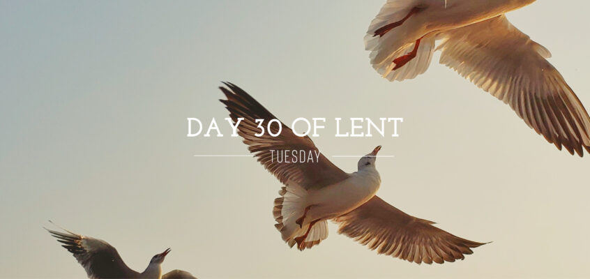 Day 30 of Lent – Tuesday