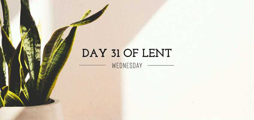 Day 31 of Lent – Wednesday