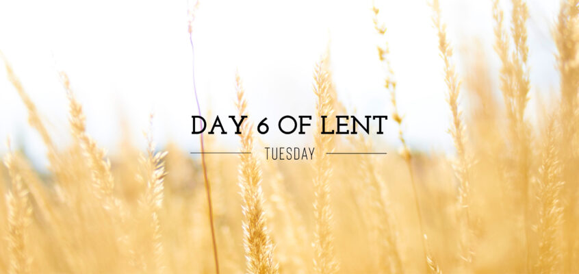 Day 6 of Lent – Tuesday