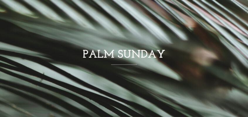 Palm Sunday